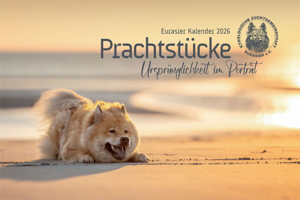 Kalender Eurasier Kalender
